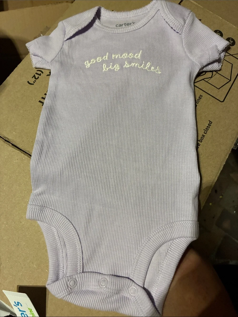 Carter's Lavender Ribbed Onesie with Purple Floral Shirt and short Set